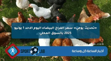 «تحديث يومي» سعر الفراخ البيضاء اليوم الأحد 1 يونيو 2025 بالسوق المحلي